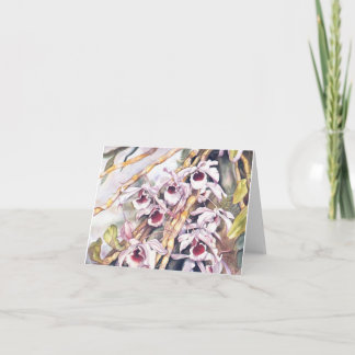 Dendrobiums noterar kort 2,95