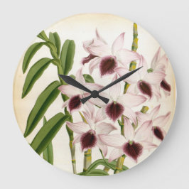 Dendrobrium Ainsworth Vintage Lindenia Orchid Stor Klocka