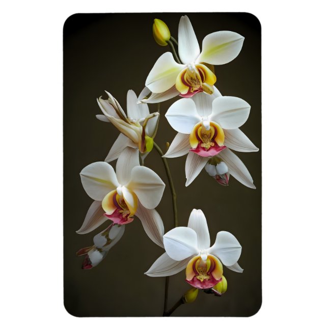 Dendroium Orchids Magnet (Vertikal)