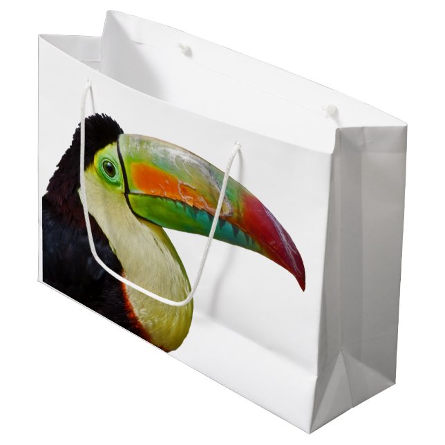 DenFakturerade Toucan gåvan hänger lös (Framsidan Vinklad)