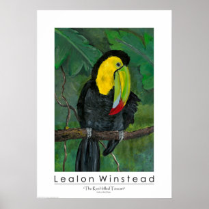 Denfakturerade Toucanen Poster