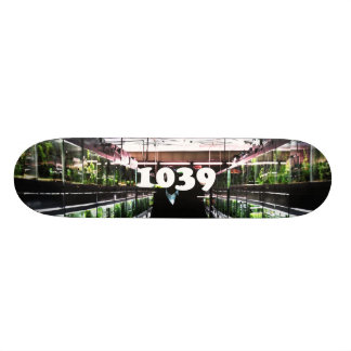 deng deng skateboard bräda 20 cm