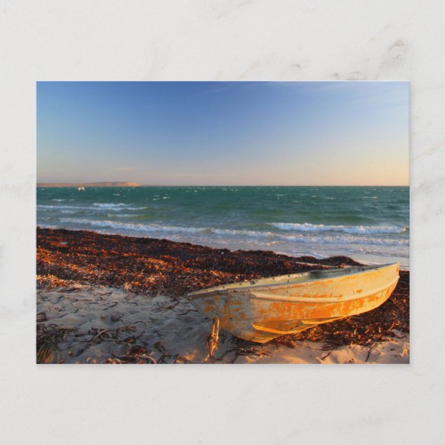 Denham - Westerna Australien Vykort (Framsida)