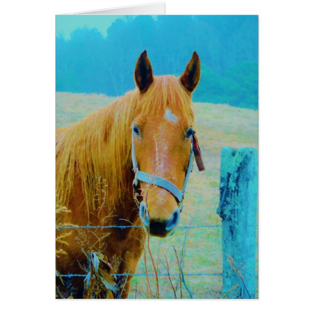 Denim blue tonated Horse Hälsningskort (Framsidan)
