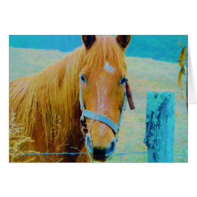 Denim blue tonated Horse Hälsningskort (Framsidan Horizontal)