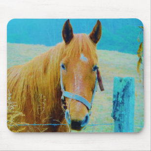 Denim blue tonated Horse Musmatta