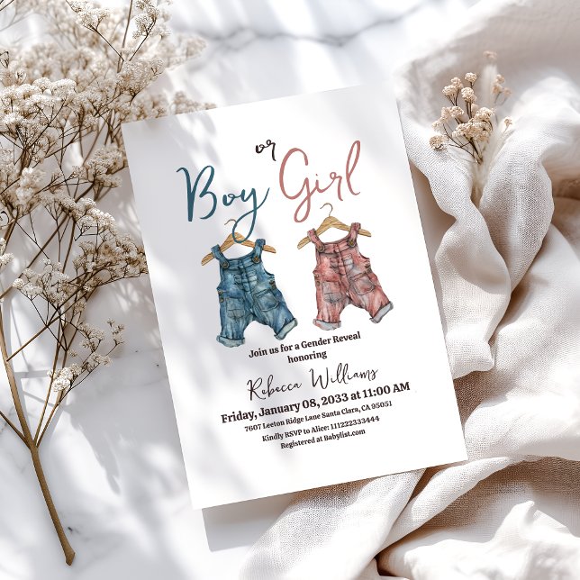 Denim Boy eller Girl Clothesline Gender Reveal Inbjudningar (Skapare uppladdad)