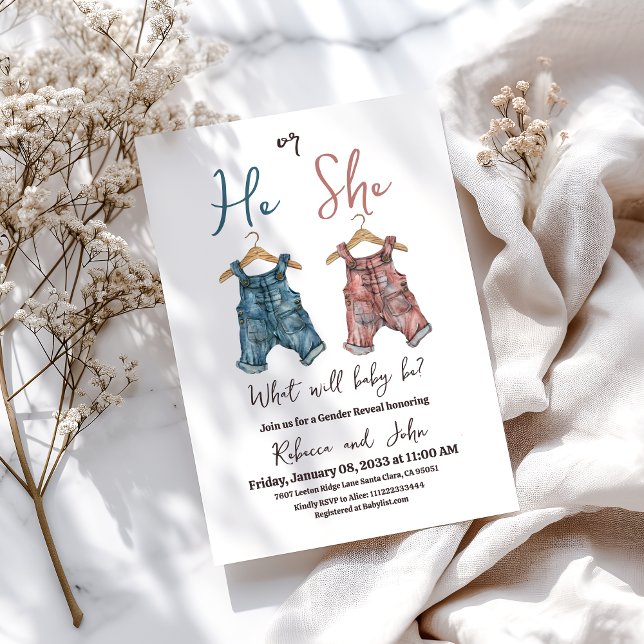 Denim Han eller hon Clothesline Gender Reveal Part Inbjudningar (Skapare uppladdad)