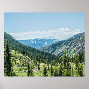Denise Forest Background // Ski Resort Springa Poster