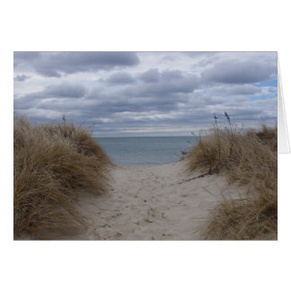 Deniseports strand hälsningskort