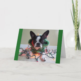 Denna ÄLVAsaker är ARBETE! Helgkort