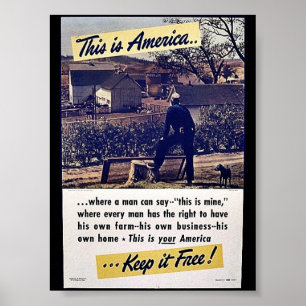 Denna är den Amerika behållan det fritt! Poster