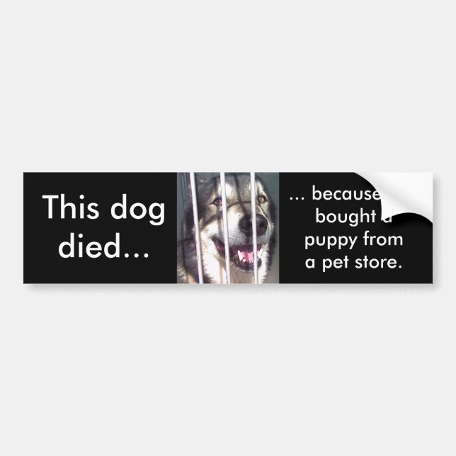 Denna hund dog bildekal (Framsidan)