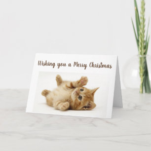 DENNA LILLA KATTEN VILL SÄGA **GLAD JUL** HELGKORT