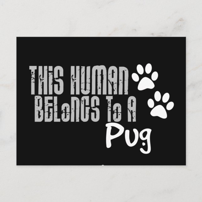 Denna människa tillhör en Pug Vykort (Framsida)