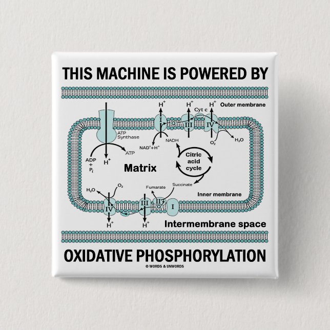Denna maskin som drivas av Oxidative Knapp (Framsida)