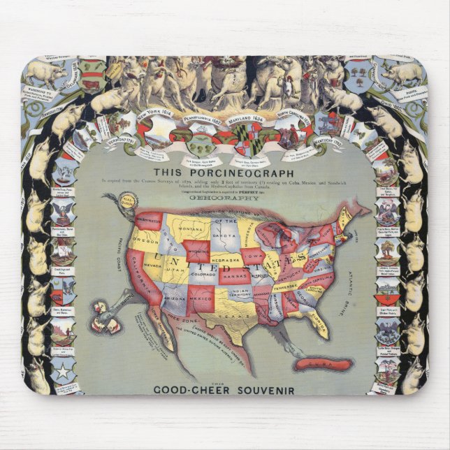 DENNA PORCINEOGRAPH, c1876 Musmatta (Framsidan)