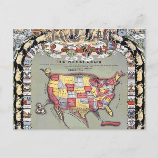 DENNA PORCINEOGRAPH, C1876 VYKORT (Framsida)