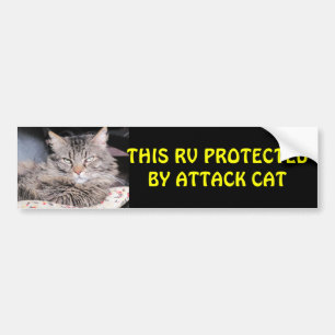 Denna RV som skyddas av attackkatten Bildekal