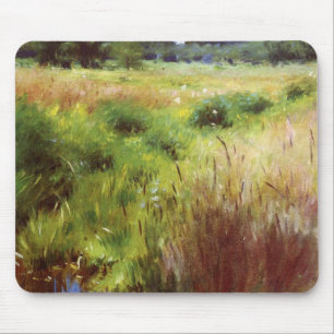 Dennis Miller Bunkers Marshland, Medfield Musmatta
