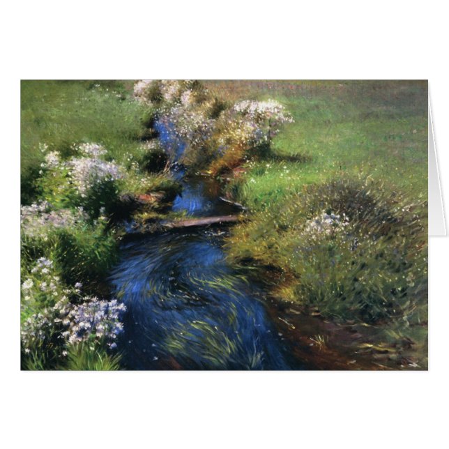 Dennis Miller Bunkers Vild Asters Hälsningskort (Framsidan Horizontal)