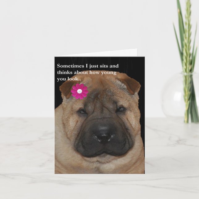DenRättvisa Shar Pei födelsedagen sitter Kort (Framsida)