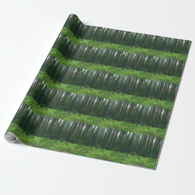 Dense Summer Forest: liggande Panorama. Presentpapper (Utrullad)