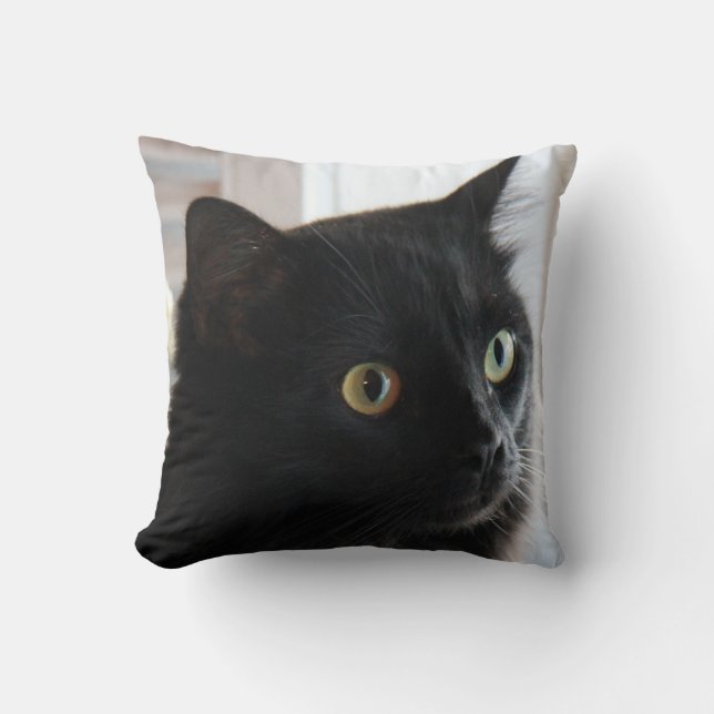 densynade svart katten kudder, hem- eller dormen kudde (Framsida)