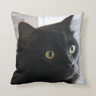densynade svart katten kudder, hem- eller dormen kudde