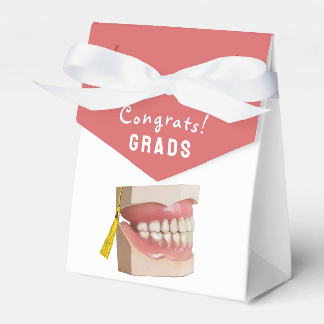Dental School Studenten Presentaskar (Framsidan Sidan)