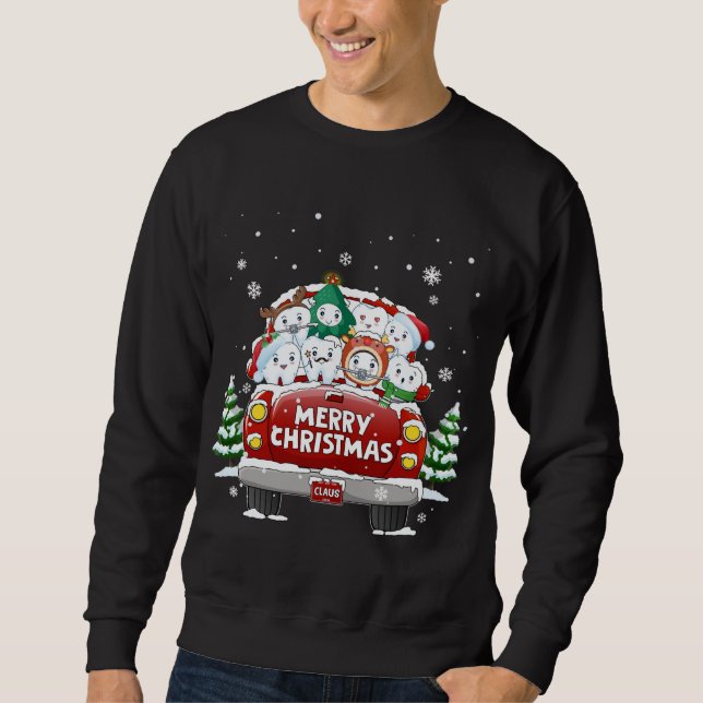 Dentaltjugonde God jul Red Lastbil Dentist Chr Lång Ärmad Tröja (Framsida)