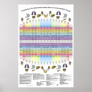 Dentaltjugonds akupunkturhälsa Poster
