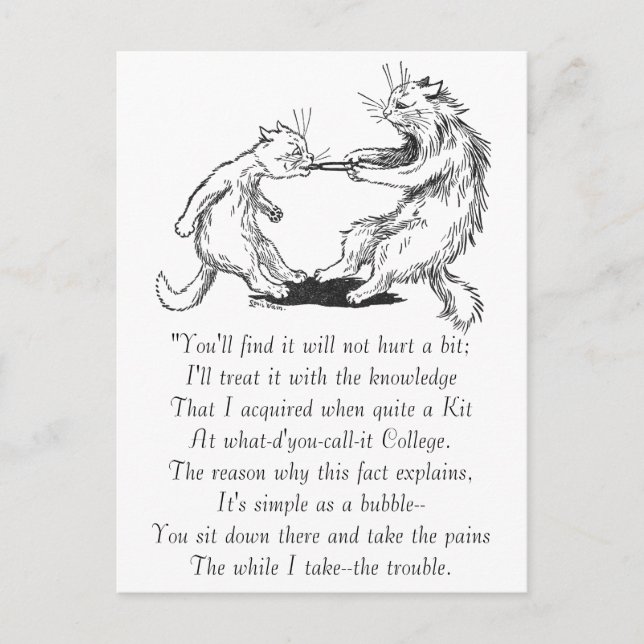 Dentist Cat Pulling Tooth Vykort (Framsida)