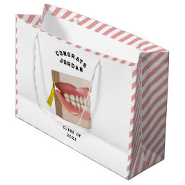 Dentist Dental School Studenten