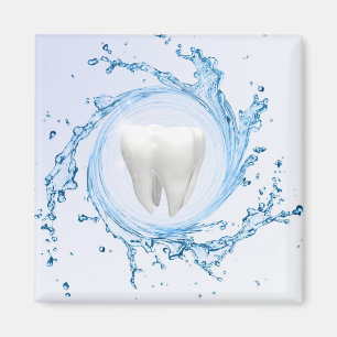 Dentist Dental Tooth Vatten Professionell Magnet