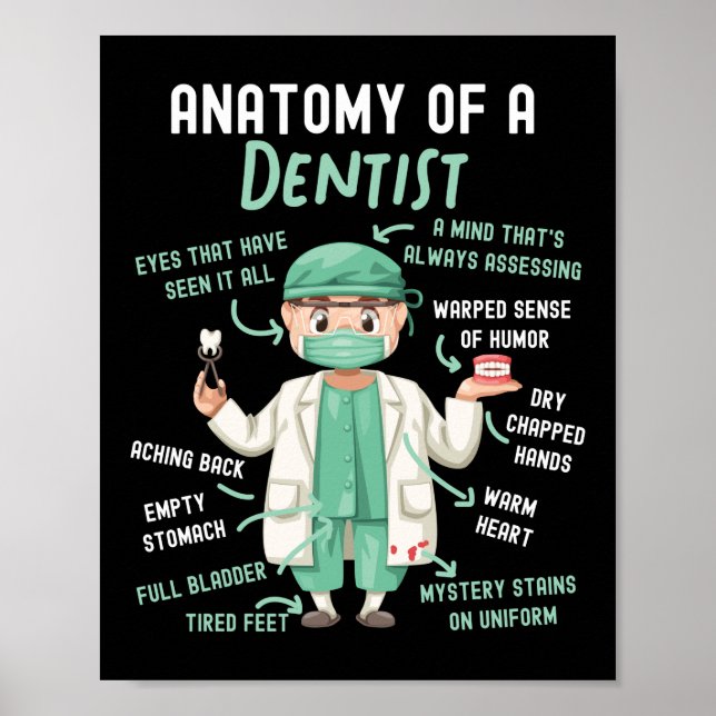 Dentist tandanatomi hos en tandläkare som är ett t poster (Framsidan)