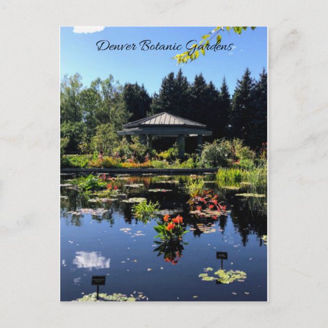 Denver Botanic Garden Postcard Vykort (Framsida)