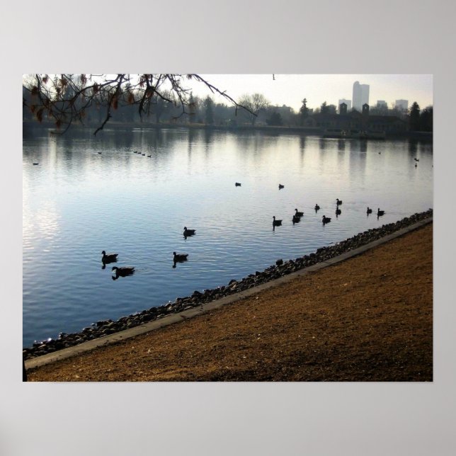 Denver City Park, Denver, Colorado Poster (Framsidan)
