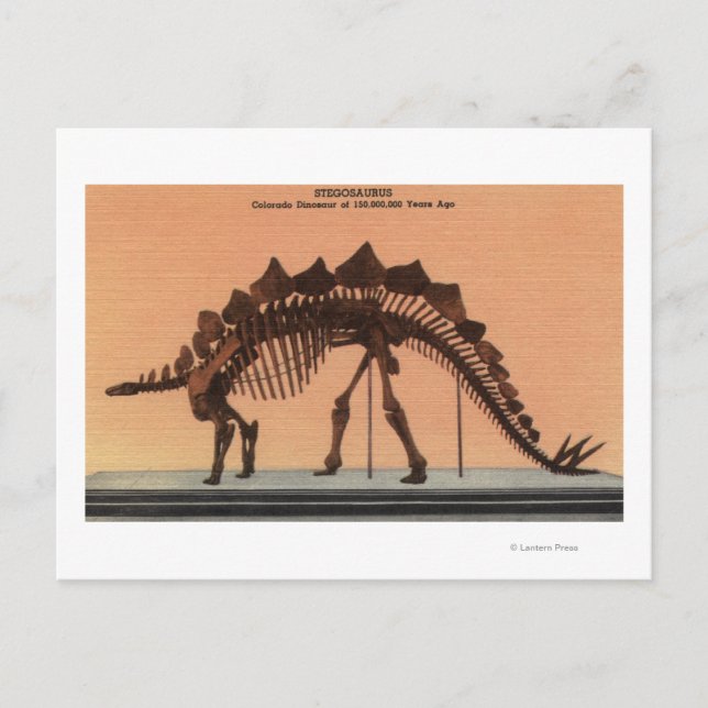 Denver, Colorado - Naturhistoriens museum 2 Vykort (Framsida)