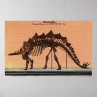Denver, Colorado - Naturhistoriens museum