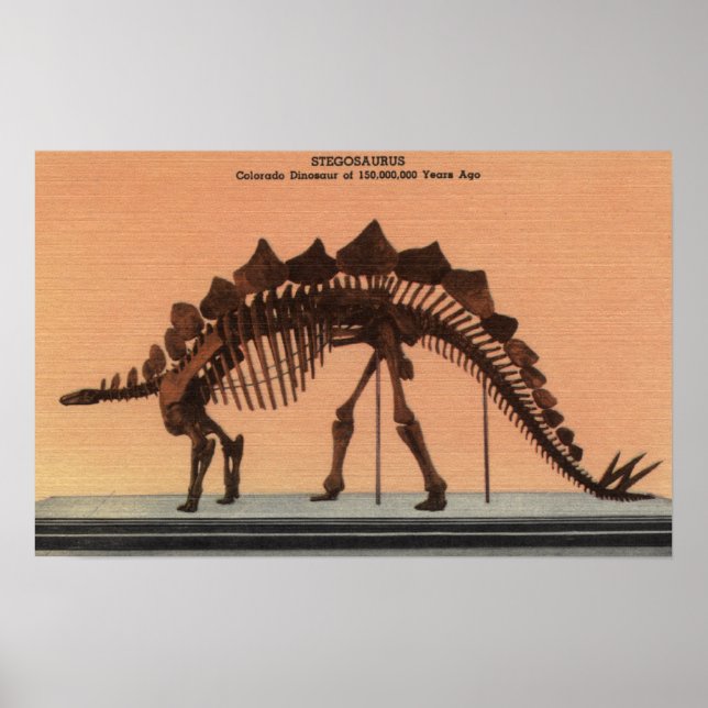 Denver, Colorado - Naturhistoriens museum Poster (Framsidan)