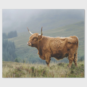 Deoupage i Highland Cow Misty Morgon Presentpapper