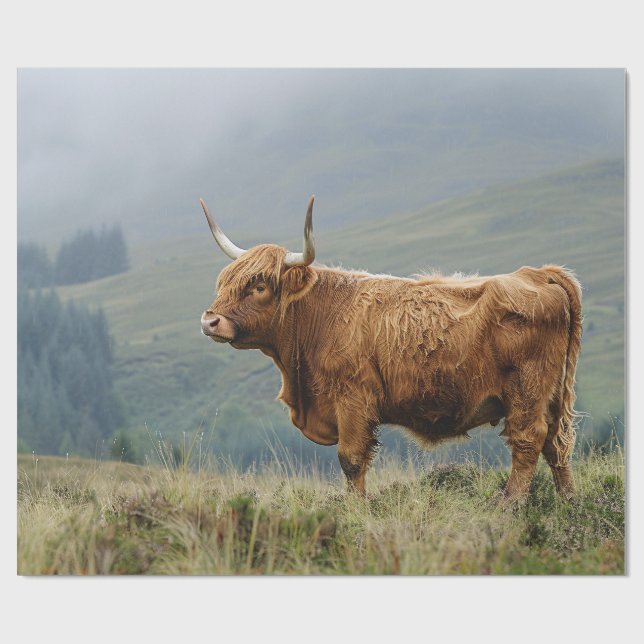 Deoupage i Highland Cow Misty Morgon Presentpapper (Platt)