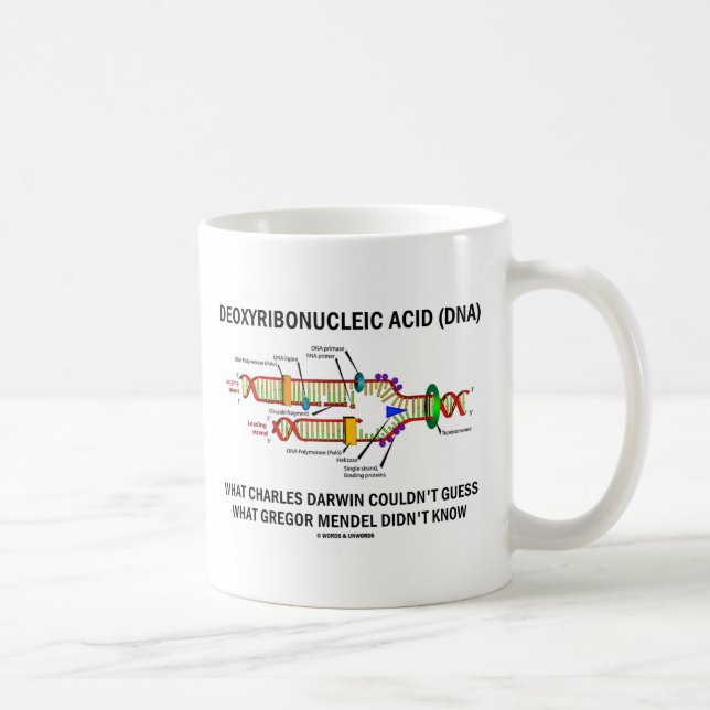 Deoxiribonucelium (DNA) Mendel Darwin Kaffemugg (Höger)