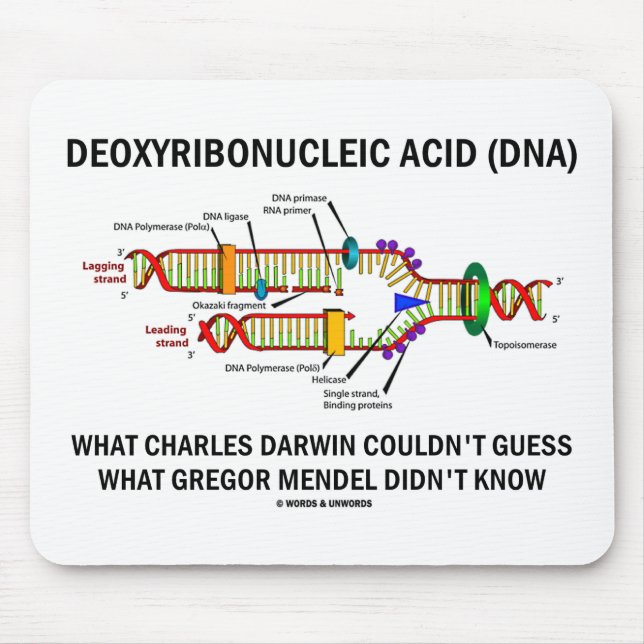 Deoxyribonucelic syrliga (DNA) Mendel Darwin Musmatta (Framsidan)