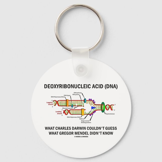 Deoxyribonuceylsyra (DNA) Mendel Darwin Nyckelring (Framsida)