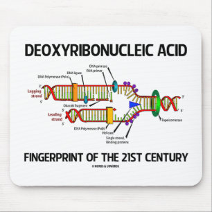 Deoxyribonucleic syra identifierar med musmatta