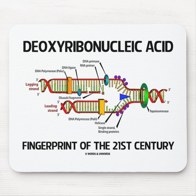 Deoxyribonucleic syra identifierar med musmatta (Framsidan)