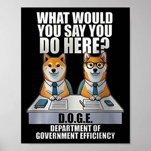 Department of Government Efficiency D.o.g.e Doge Poster (Framsidan)
