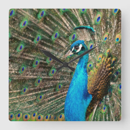 Der blaue Pfau Fyrkantig Klocka